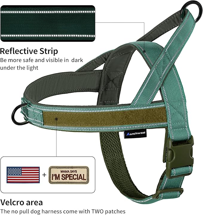 Annchwool No Pull Dog Harness with Padded Handle+5 Ft Leash,Reflective Strip Escape Proof and Quick Fit to Adjust Dog Harness,Easy for Training Walking for Small & Medium and Large Dogs(Green-Set,L)
