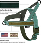Annchwool No Pull Dog Harness with Padded Handle+5 Ft Leash,Reflective Strip Escape Proof and Quick Fit to Adjust Dog Harness,Easy for Training Walking for Small & Medium and Large Dogs(Green-Set,L)