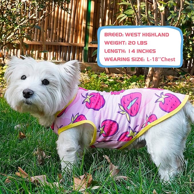 KYEESE 2Pack Dog Shirt, Lightweight Sun Protection Dog T Shirts for Small Dogs Girl, Breathable Mesh Tank Top Sleeveless Pet Reflective Vest, Soft Summer Dogs Clothes, Strawberry+Rose Red, L