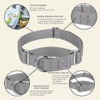 Country Brook Petz - Martingale Dog Collar - Heavy-Duty Training Collar with No Buckle - Service Dog Collar for All Pups - 10+ Cool Colors (Silver, 3/8 Inch, 3XS)