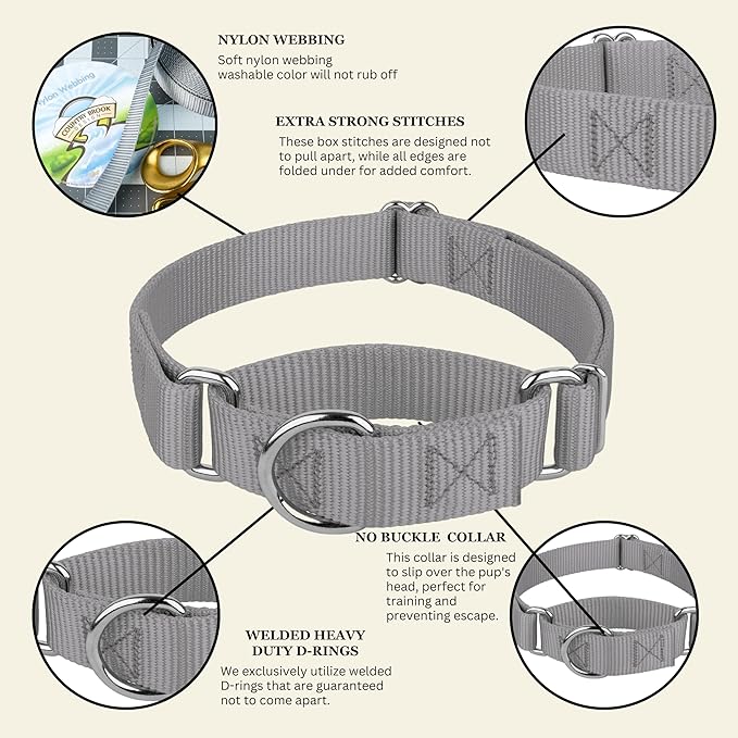 Country Brook Petz - Martingale Dog Collar - Heavy-Duty Training Collar with No Buckle - Service Dog Collar for All Pups - 10+ Cool Colors (Silver, 3/8 Inch, 2XS)