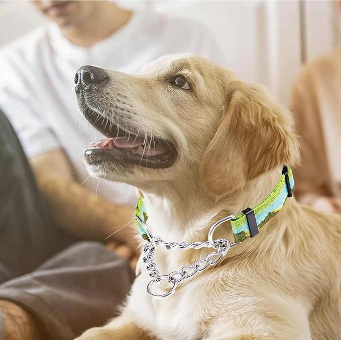 Martingale Dog Collars with Stainless Steel Chain, Reflective No Pull Walking Training Collar with Quick Release Buckle, Adjustable Slip Chain Nylon Dog Collars for Small Medium Large Dogs