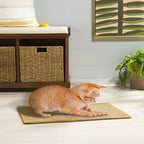 SAFAVIEH Cat Scratch Mat Pad Collection, 16" x 24", Brown, Sisal & Jute Boucle Weave, Velcro & Slip Resistant Backing