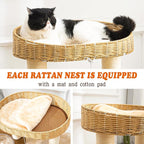 Modern Cat Tree for Large Cats, 51'' Multi-Level Cat Tower for Indoor Cats, Sturdy Design with 8 Sisal Scratching Posts 4 Cat Condos/Perches, Ideal for Multi-Cat Households & Easy Assembly