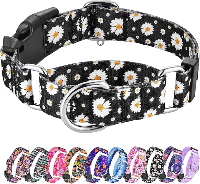 Hikiko Martingale Collar for Dogs with Buckle for Small Medium Large Dogs Soft Nylon Daisy Dog Collars Walking Training（Pure Daisy,Medium）
