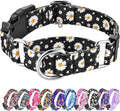 Hikiko Martingale Collar for Dogs with Buckle for Small Medium Large Dogs Soft Nylon Daisy Dog Collars Walking Training（Pure Daisy,Medium）