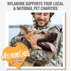 Nylabone Femur Bone Alternative Power Chew Toy for Dogs, Dog Toys for Aggressive Chewers, Beef Flavor, Large - Up to 50 lbs, 1 Count