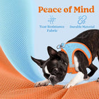 rabbitgoo Small Dog Harness, Step-in Soft Mesh Puppy Vest with Safety Buckle, Breathable Reflective Pet Harness for Small Sized Dogs, Blue & Orange S