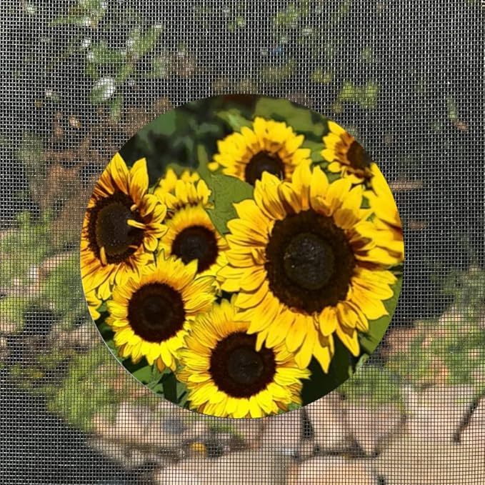 Screen Door Magnets Double Sided – Keep People, Kids, and Dogs from Running into a Screen Door. Saver - Robbins Aria Beautiful Sunflowers