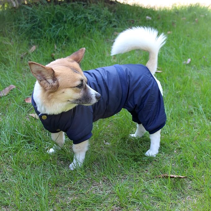 Fleece Lined Dog Coat with Detachable Hood and Detachable Hind Legs,Warm Puppy Jacket in Winter(Blue L)