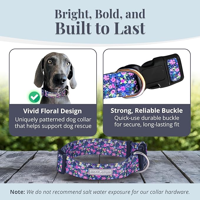 Lucky Love Dog Wide Dog Collar - Adjustable, Durable, Soft Webbing, & Comfortable 1.5 inch Wide Collar for Dogs Male and Female with Strong Buckle - Primrose, X-Large