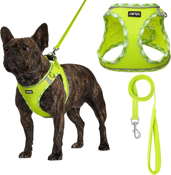 AMTOR Small Dog Harness with Leash Set, No Escape Easy Walk Puppy Harnesses for Training Walking, Step-in Reflective Soft Dogs Vest for XS S Medium Extra-Small Large Sized Dog(XXS Size,Green/White)