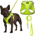 AMTOR Small Dog Harness with Leash Set, No Escape Easy Walk Puppy Harnesses for Training Walking, Step-in Reflective Soft Dogs Vest for XS S Medium Extra-Small Large Sized Dog(S Size,Green/White)