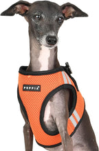 Puppia Soft Vest Dog Harness No Choke Step-in Reflective Triple Layered Breathable Mesh for Small and Medium Dog, Orange, Large