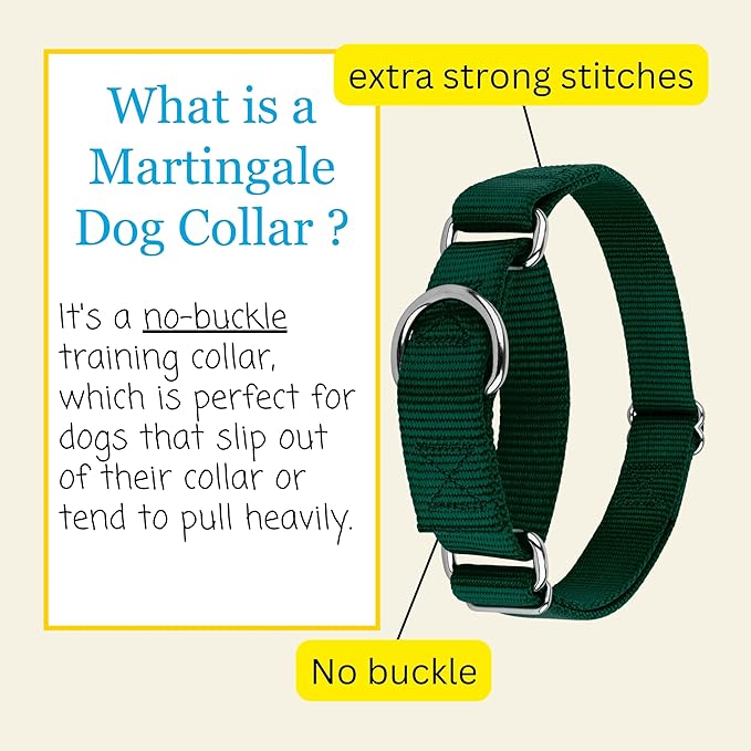 Country Brook Petz - Martingale Dog Collar - Heavy-Duty Training Collar with No Buckle - Service Dog Collar for All Pups - 10+ Cool Colors (Green, 5/8 Inch, Extra Small)