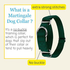 Country Brook Petz - Martingale Dog Collar - Heavy-Duty Training Collar with No Buckle - Service Dog Collar for All Pups - 10+ Cool Colors (Green, 5/8 Inch, Extra Small)