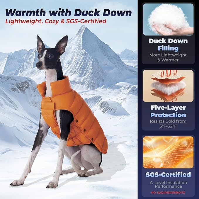 SPACE LION Dog Puffer Jacket, Down Winter Coat, Durable Outdoor Coat for Cold and Windy Conditions, Lightweight & Adjustable Fit Coats for Small Dogs, (Orange, Size 10 Gift Box)