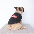 iChoue French Bulldog Summer Cooling Shirt for Dogs UV Sun Protection Vest Sleeveless Stretchy Tank Top English Pug Grey Black - XXLarge