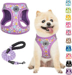 BEAUTYZOO Easter Dog Harness and Leash Set,Step in No Choke No Pull Soft Mesh Dog Harnesses Reflective for XSmall/Small Puppy Dogs Cats, Cute Coloful Egg Dog Vest for Outdoor Walking,Purple XS