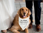 Realeaf My Humans are Getting Married Dog Bandana,Wedding Outfit for Boy and Girl, Premium Durable Fabric, Engagement Announcement for Large and XLarge Dogs (X-Large)