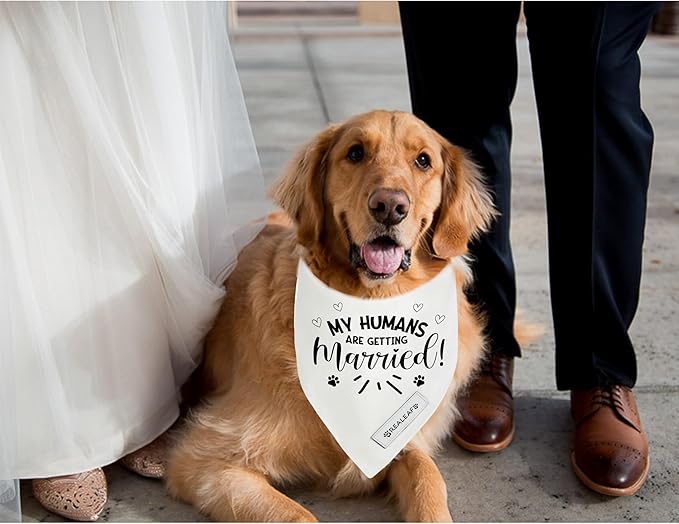 Realeaf My Humans are Getting Married Dog Bandana,Wedding Outfit for Boy and Girl, Premium Durable Fabric, Engagement Announcement for Large and XLarge Dogs (Large)