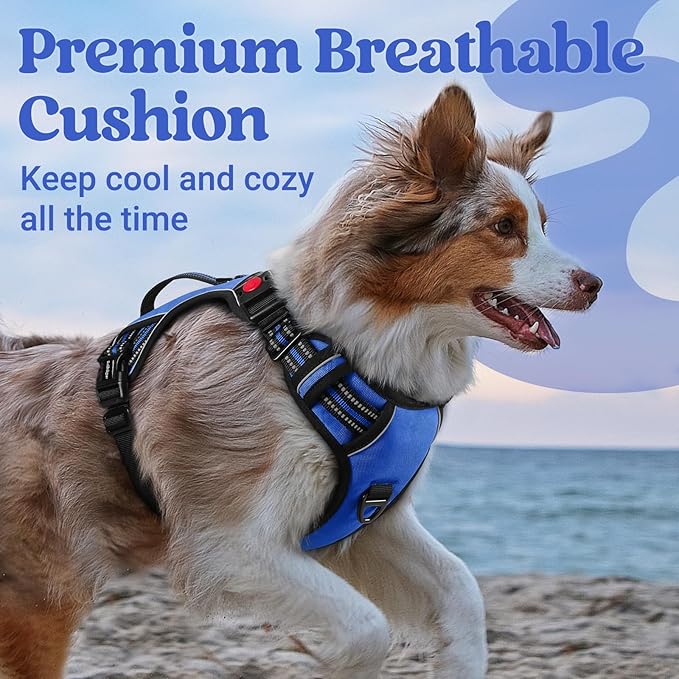 rabbitgoo Dog Harness Small Sized Dog, No Pull Pet Harness with Soft Padded Handle, Adjustable Reflective Vest with 3 Buckles, Easy Walking Harness with 2 Leash Clips, Blue, S