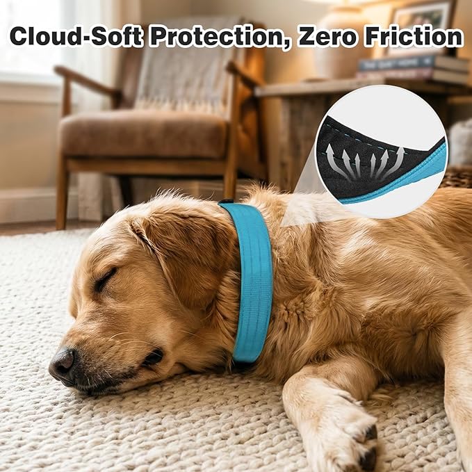Joytale Tactical Dog Collar for Large Dogs with Control Handle, Heavy Duty Military Training Collar for Power Breeds, AirTag Holder Case, Quick Release Metal Buckle, Soft Padded, L, Sky Blue