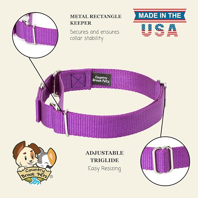 Country Brook Petz - Martingale Dog Collar - Heavy-Duty Training Collar with No Buckle - Service Dog Collar for All Pups - 10+ Cool Colors (Bright Purple, 3/4 Inch, Small)