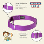 Country Brook Petz - Martingale Dog Collar - Heavy-Duty Training Collar with No Buckle - Service Dog Collar for All Pups - 10+ Cool Colors (Bright Purple, 3/4 Inch, Small)