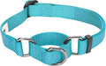 Blueberry Pet Essentials Martingale Safety Training Dog Collar, Turquoise, Small, Heavy Duty Nylon Adjustable Collars for Dogs