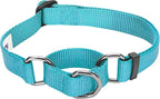 Blueberry Pet Essentials Martingale Safety Training Dog Collar, Turquoise, Small, Heavy Duty Nylon Adjustable Collars for Dogs