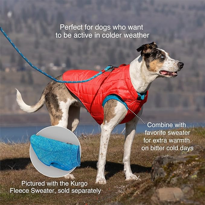 Kurgo Loft Dog Jacket - Reversible Cozy Coat for Outdoor Adventures - Water Resistant - Athletic Fit - Machine Washable Fabric - Reflective Dog Gear - Medium - Fall Festival