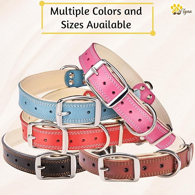 ADITYNA Heavy-Duty Leather Dog Collar for Large Dogs - Soft Padded for Comfort - Blue Dog Collar for Walking, Training, and Hiking