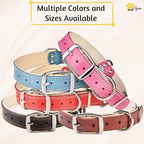 ADITYNA Heavy-Duty Leather Dog Collar for Large Dogs - Soft Padded for Comfort - Large Dog Collar for Walking, Training, and Hiking