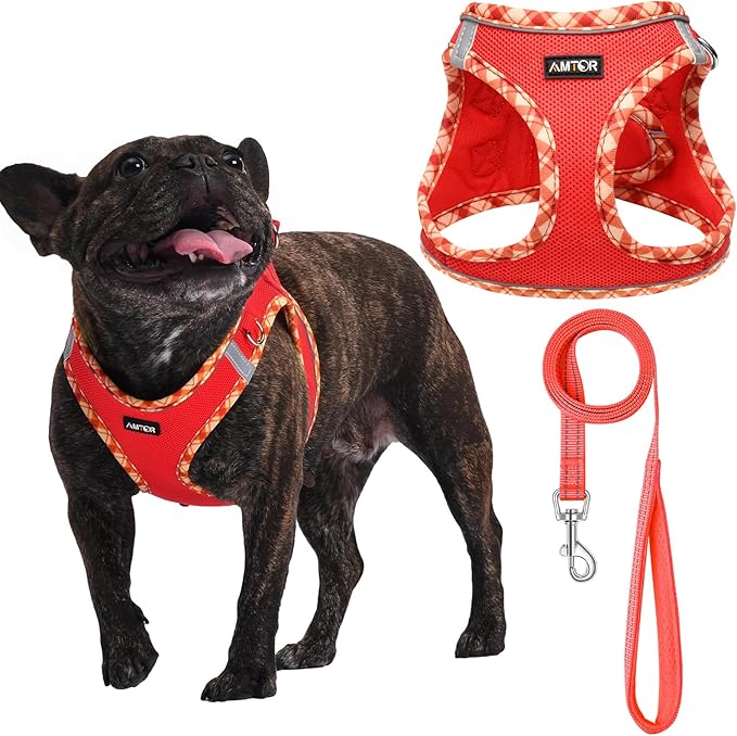 AMTOR Small Dog Harness with Leash Set, No Escape Easy Walk Puppy Harnesses for Training Walking, Step-in Reflective Soft Dogs Vest for XS S Medium Extra-Small Large Sized Dog(Red,L)