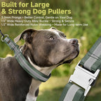 Mayerzon Martingale No Pull Collar for Large Medium Dogs, Patented Dog Walking Training Collar for Pulling, 1.5'' Wide Alloy Buckle, Neoprene Padded, Adjustable, Reflective, Easy to Use(L, Green)
