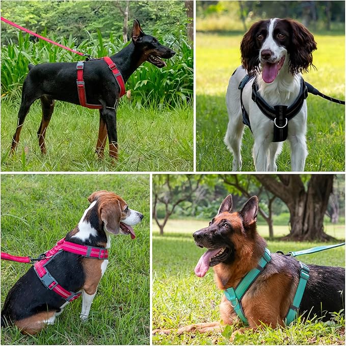 Plutus Pet No Pull Dog Harness, Adjustable Nylon Harness with Soft Padding, Reflective and Heavy Duty Dog Harness for Small, Medium, Large Dogs(Chocolate, XS)