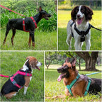 Plutus Pet No Pull Dog Harness, Adjustable Nylon Harness with Soft Padding, Reflective and Heavy Duty Dog Harness for Small, Medium, Large Dogs(Hot Pink, L)