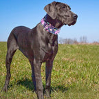 Martingale Dog Collar 1.5 Inch Wide - Bohemian Floral Print Adjustable Nylon No-Pull Training Collar for Medium/Large/XL Dogs, Heavy Duty Design for Walking, Hunting & Outdoor Activities (M)