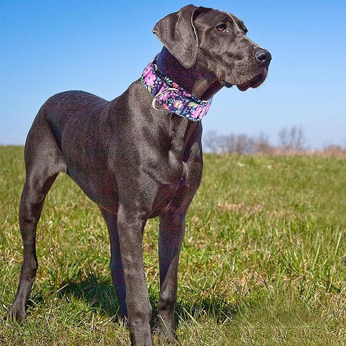 Wide 1.5 inch Martingale Collar for Extra Large Dogs,Big Thick Dog CollarNo-Slip Escape Proof Choke No Pull Cinch for Male and Female Dogs for Training & Walking -Bohemia Flowers XL