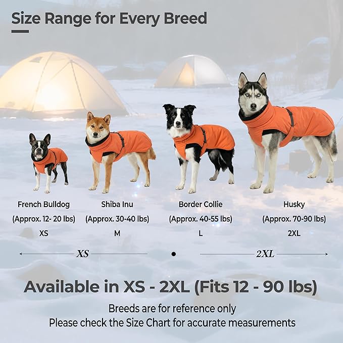 Dog Winter Coat, Warm Puffer Jacket with Fur-Safe Buckle & Leash Hole for Cold Weather, Water-Repellent Snow Vest, Breathable Thermal Apparel for Hiking & Active Dogs (Aurantium, XX-Large)