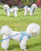 Petank Dog Harness for Small Medium Dogs No Pull, Puppy Harness and Leash Set, Step in Dog Harness for Walking, Running, Training, Small Dog Vest, Medium Dog Vest (Bule, XS)