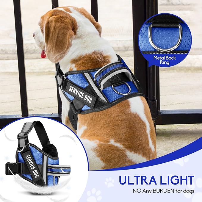 Service Dog Vest Harness and Leash Set, Animire in Training Dog Harness with 10 Dog Patches, Reflective Dog Leash with Handle for Small, Medium, Large, and Extra-Large Dogs (Blue,XL)