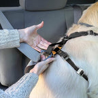 Kurgo Enhanced Strength Tru-Fit Dog Car Harness - Pet Travel Safety Harness - Crash Test Certified Fit - Five Point Adjustment - Secure Buckle - Padded Chest - Black - Small