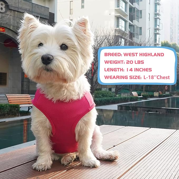 KYEESE 2Pack Dog Shirt, Lightweight Sun Protection Dog T Shirts for Small Dogs Girl, Breathable Mesh Tank Top Sleeveless Pet Reflective Vest, Soft Summer Dogs Clothes, Strawberry+Rose Red, M