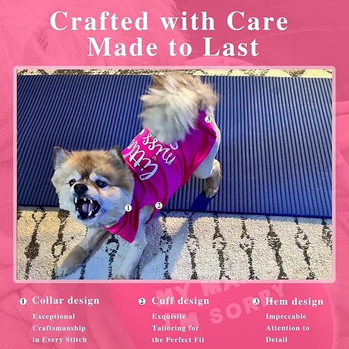 Cotton Dog Shirt with 'Little Miss Adorable' Corgi Head Print, Soft & Breathable Pet Apparel for Small, Medium, and Large Dogs, All-Season Sleeveless Vest, Cute and Comfortable Dog Outfit.Pink 3XL