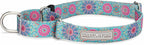Lucky Love Dog Martingale Dog Collar - Adjustable, No-Slip, Durable, & Soft Webbing Collar for Male and Female Dogs Ideal for Training & Walking - Clara, Large