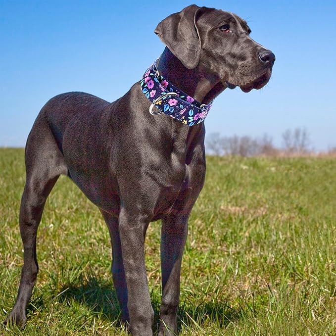 Wide 1.5 Girl Martingale Collar for Dogs,No Pull Heavy Duty Floral Dog Collar for Medium Large Extra Large Female Dogs XL
