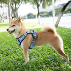 PoyPet Plaid Dog Harness, No Pull Front Clip Pet Vest Harness, Soft Padded Reflective Adjustable Walking Harness with Handle for Large Medium Small Dogs(Checkered Blue, L)