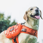 ONETIGRIS Dog Backpack for Medium & Large Dogs, Nylon Backpack for Dogs Tactical Pet Backpack with Side Pockets for Hiking Walking Training Running (Orange, Medium)